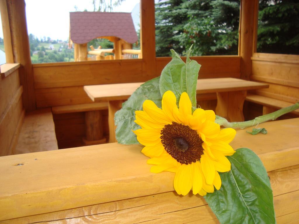 Apartamenty I Pokoje Pod Limbami - Sauna, Teznia Bukowina Tatrzańska Esterno foto